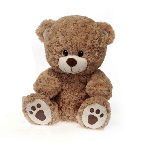 Teddy The Brown Bear