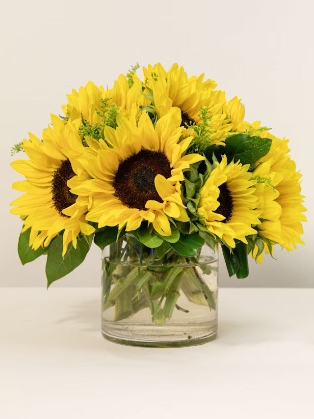 Smiling Sunflowers