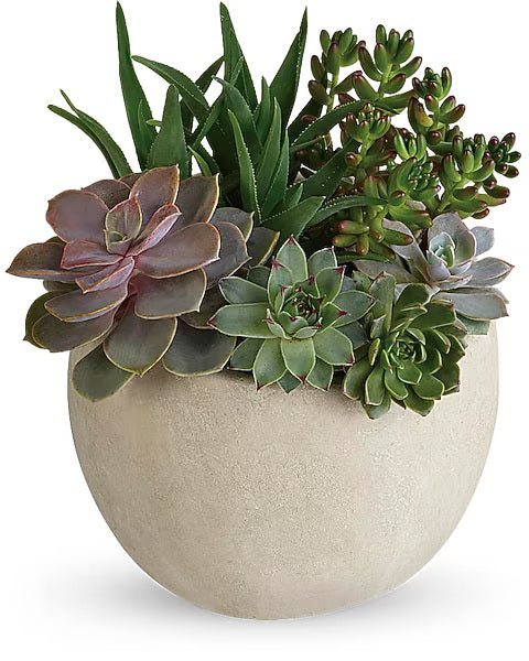 Succulent Garden Bouquet